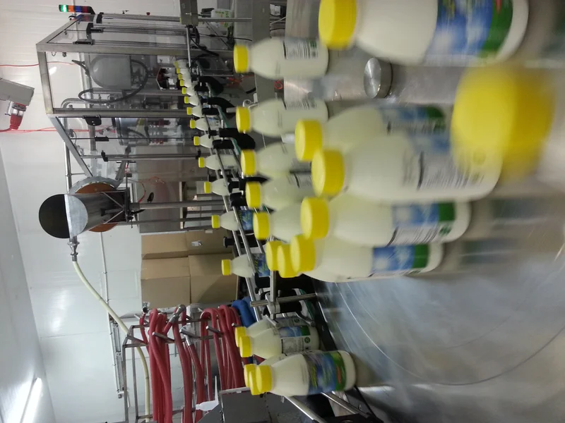 Dairy Product 8